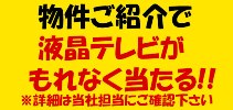 ご紹介キャンペーン！